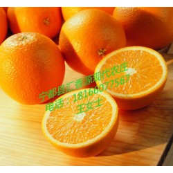 江苏常州脐橙代售点 果农产地直销 绿色生鲜水果 批量橙子